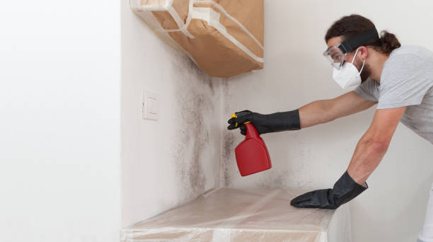 Professional Bathroom Mold Removal technician working in Leesburg, FL